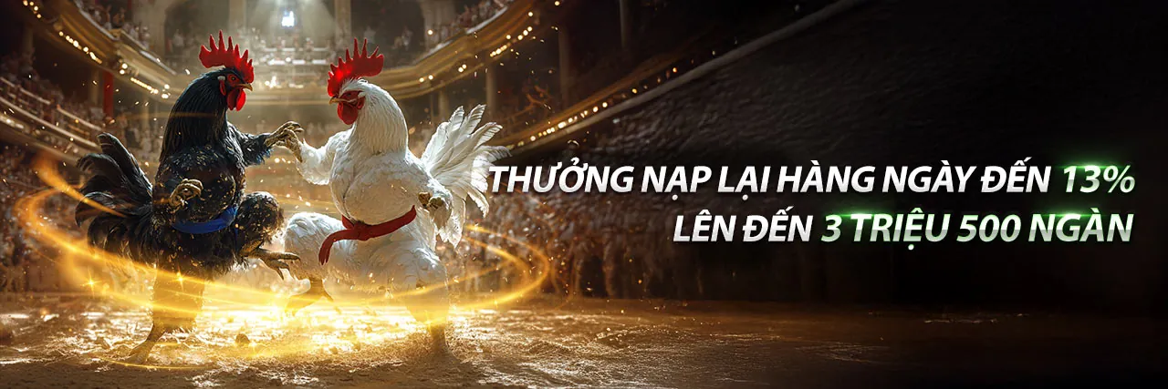 Hình ảnh Điều Khoản Dịch Vụ FD88 - Nền tảng cá cược trực tuyến uy tín